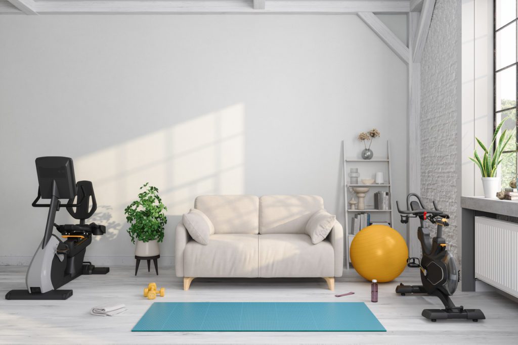Training At Home With Exercise Bike, Fitness Ball And Exercise Mat. Living Room Interior With Sofa And Sports Equipment